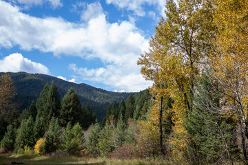 Fototapeta na wymiar Bozeman Montana Fall Landscape, Gallatin County Colors, 2019