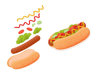 Delicious hot dog with flying ingredients like sesame seed bun, meat sausage, lettuce, tomato, cucumber, ketchup and mustard. Vector illustration of flat american fast food for advertising, menu, web