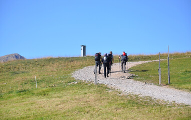 Grupa turystów podchodzi górskim szlakiem pośród zielonych traw, Dolomity