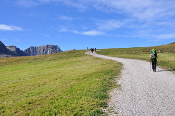 Turyści spacerują górskim szlakiem pośród zielonych łąk w Dolomitach - obrazy, fototapety, plakaty