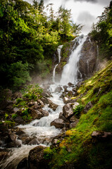 Fototapeta premium Force