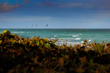 Kite surfing on a windy day offshore in Juno Beach Florida.
