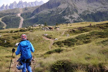 Kobieta idzie górską łąką w Dolomitach a w tle stoją krowy