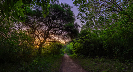 Obraz premium Rinconada