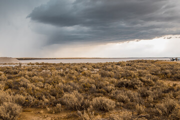 bush walking at lake Tyrrell