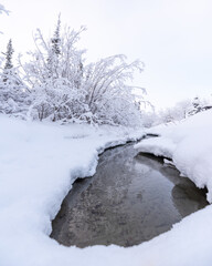 A stunning snow covered and surrounded creek during a winters day. Winter white wonderland with open water, icy, ice on sides of shore and stunning trees. 