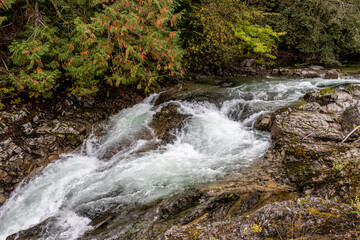 Obraz premium water rushing over rocks in a river at Little Qualicum Falls Provincial Park on Vancouver Island, Canada