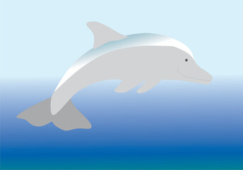 delfín  en el mar azul