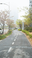Korean Trail