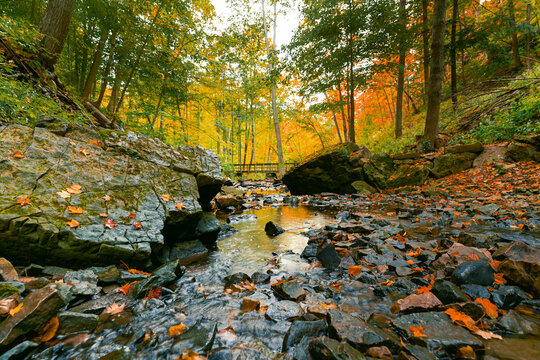 A stream meanders between rocks in autumn 