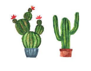 Set of cute sketch watercolor green cactus with flowers in pots. Bright striped watercolour cacti for stickers, home decor, nature banner design