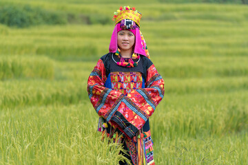 Young woman in traditional Lo Lo (Yi) costume on rice field. Ha Giang, Vietnam.