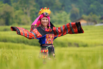 Young woman in Lo Lo (Yi) traditional costume on rice field. Ha Giang, Vietnam.