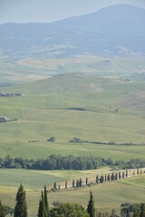 Wide angle portrait of Tuscany hills and roads