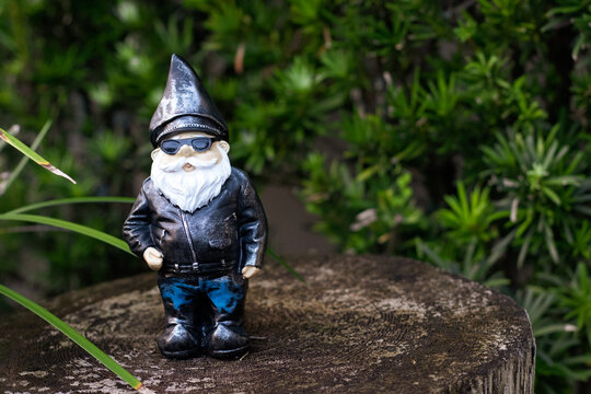 Garden Gnome in Leather Jacket and Sunglasses