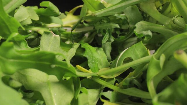 Fresh green aragula salad macro closeup camera movement with wide angle probe lens