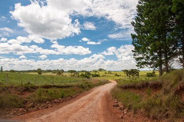 Fototapeta na wymiar road in the field