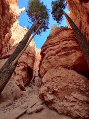 Bryce Canyon National Park, Utah