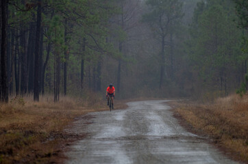 Bicycle on Foggy Dirt Road in Woods