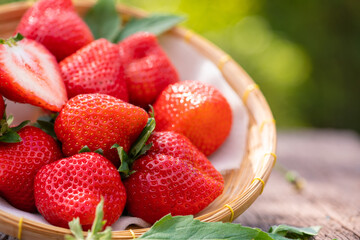 Fresh strawberries on blur garden background, Red Strawberries in Bamboo basket.