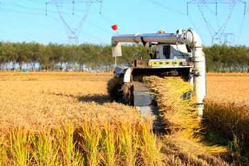Plakat Harvester machine is harvesting rice
