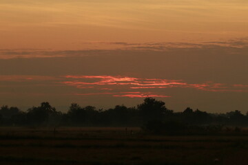 Fototapeta premium The orange light from sunrise ,silhouette and clouds sky in the morning