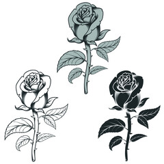 Vector design of flowers in three different styles, black and white, all on white background
