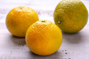 タンゼロ（スイートスプリング）