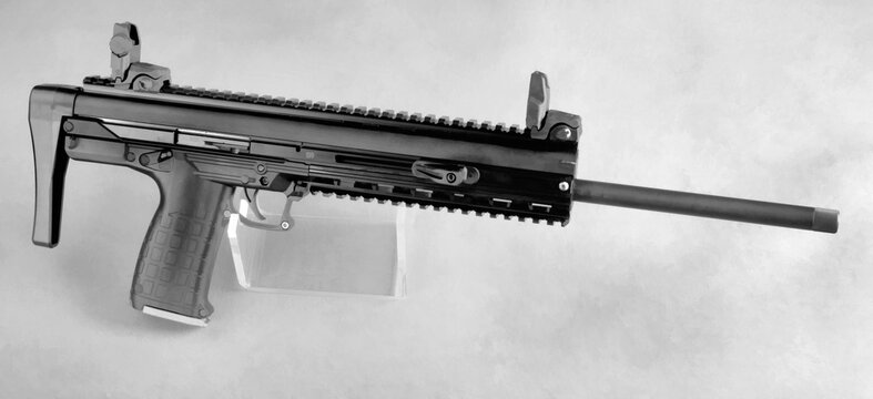 Modern 22 compact gun.