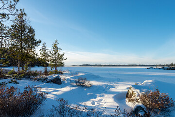 Trees, stones and bushes on a frozen lake shore