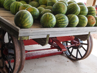 Watermelons On a Rustic Farm Cart