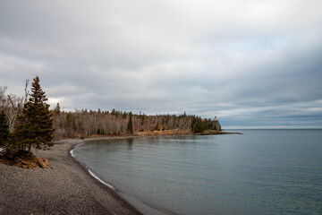Winter forest on a lake Superior shore