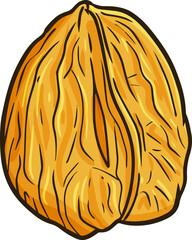 Walnut kernels in close up and doodle style