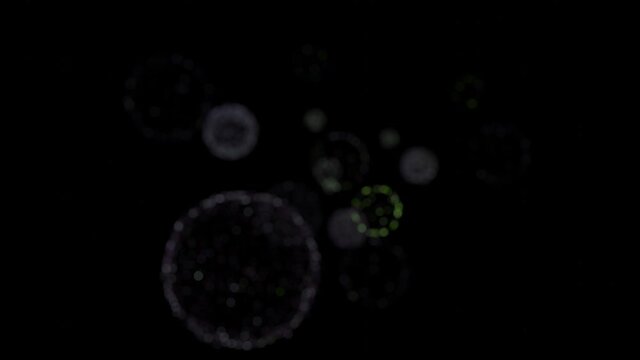 Coronavirus attack and lung destruction, COVID-19 concept, Looping 4K Video