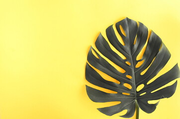 Graues monstera Blatt auf Draufsicht des gelben Hintergrundes. Farben des Jahres 2021 leuchtend und ultimatives Grau. Platz kopieren. Poster © irenastar