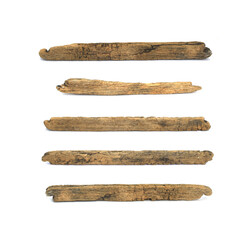collection log wood on white background