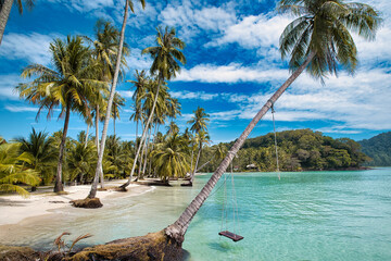 beach with palm trees and sea