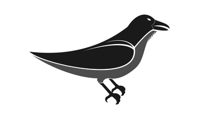 Crow bird illustration vector