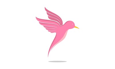 Flying bird illustration vector design