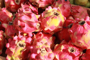 Dragon fruit in the market.