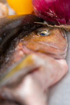 pescado fresco  y acomodado en reja para asar o zarandear a la parrilla  con cebolla morada  y pimiento morrón amarillo 