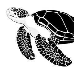 graphic sea turtle,vector illustration of sea turtle,vector of turtle design on a white background,save a turtle.