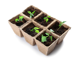 Peat pots with soil and green seedling on white background