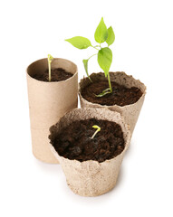 Peat pots with soil and green seedling on white background