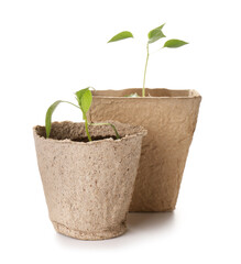 Peat pots with soil and green seedling on white background