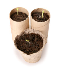 Peat pots with soil and green seedling on white background
