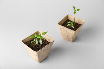 Peat pots with soil and green seedling on light background