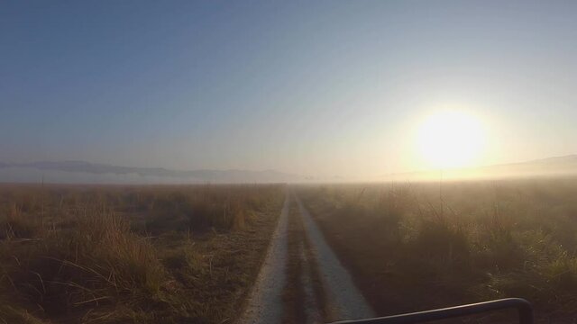 A Back View From A Safari Jeep Going Through The Open Grasslands In Jim Corbett National Park