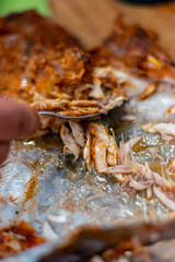 Mano sujetando cuchara  tomando carne de pescado zarandeado 