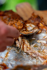 Mano sujetando cuchara  tomando carne de pescado zarandeado 